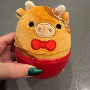 Mystery squishmellows 2025 Christmas